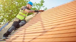 Best Roof Moss and Algae Removal  in Orinda, CA