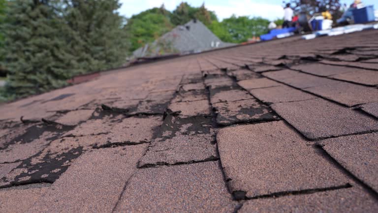 Best Roof Insulation Installation  in Orinda, CA